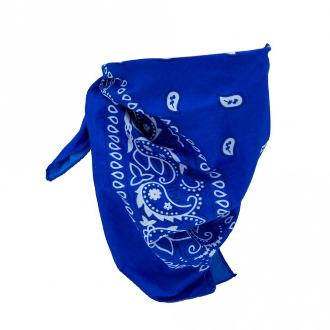 Blue Bandana