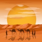Arabian